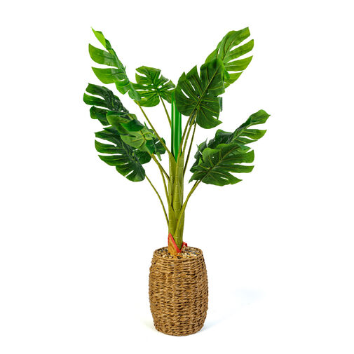 11907 • Műnövény dekoráció - filodendron - 1 m