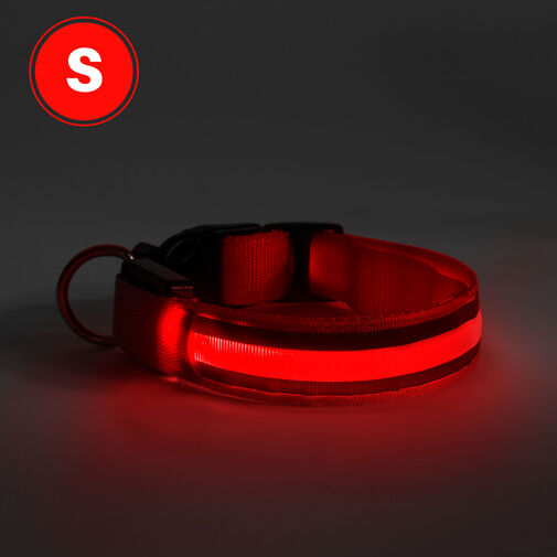 60027B • LED-es nyakörv - akkumulátoros - S méret - piros