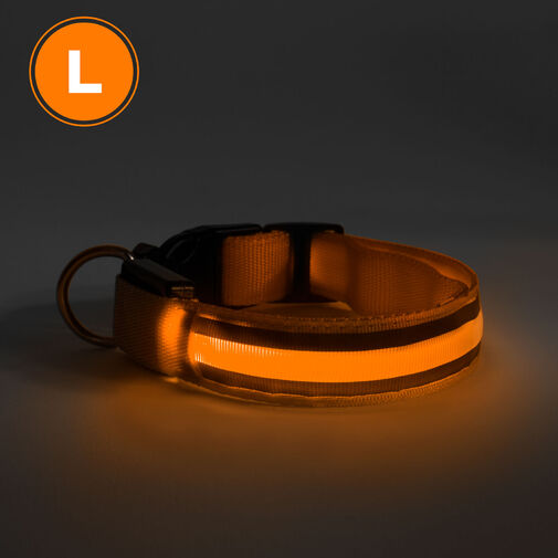 60029C • LED-es nyakörv - akkumulátoros - L méret - narancs